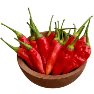 VittaBurn Ingredients